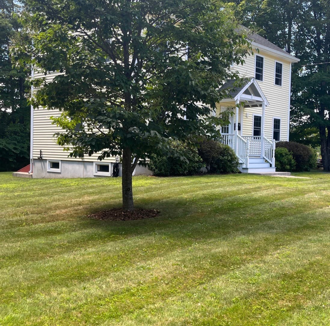 Two-story yellow house with white trim and a small porch behind a large tree.